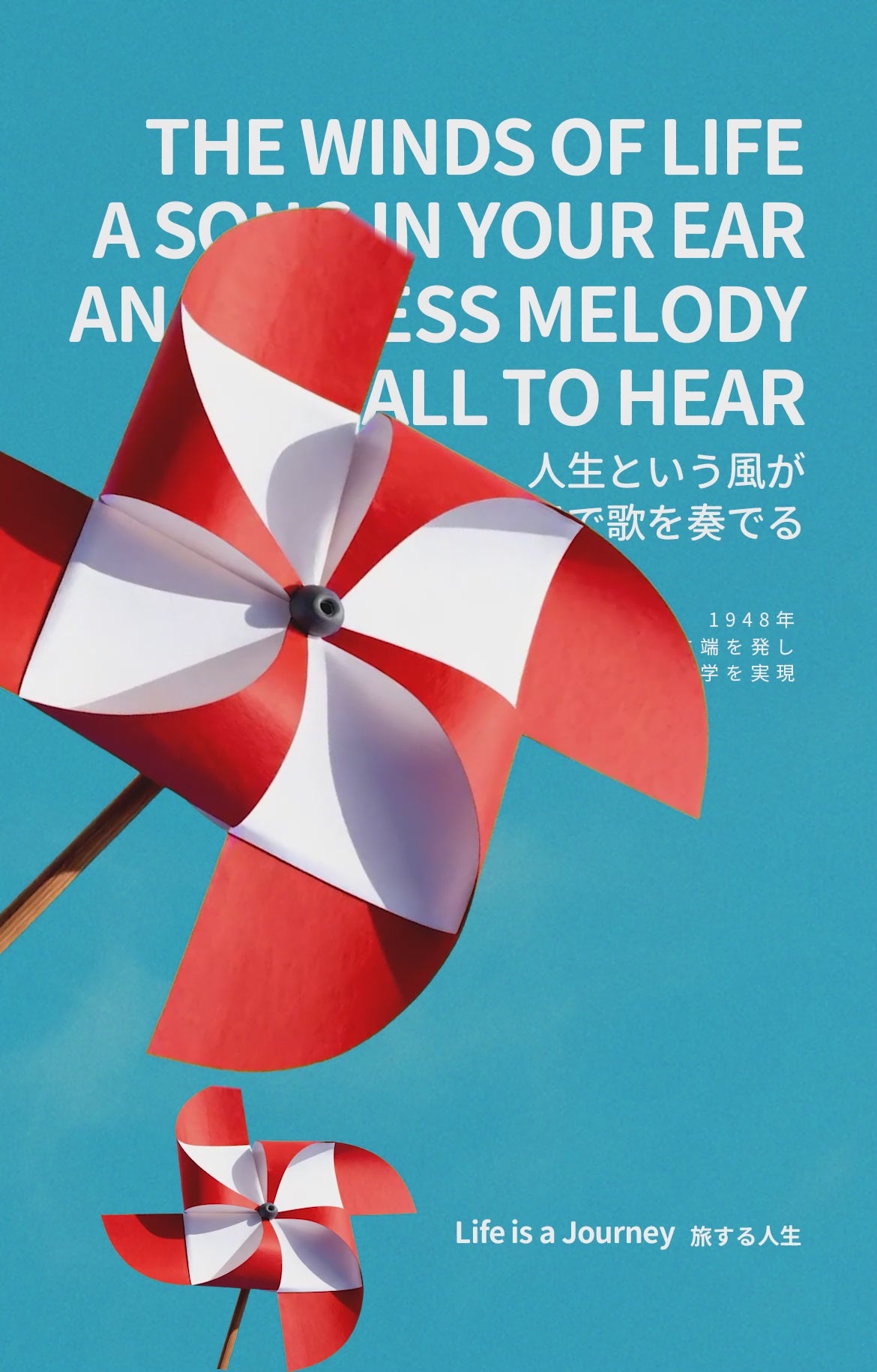 動画を読み込む